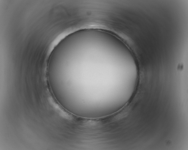 X0000113121374200908281428