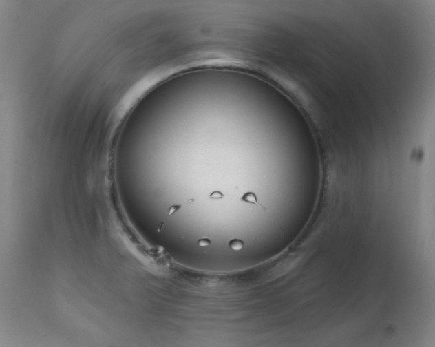 X0000113121375200908281428