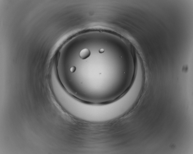 X0000113121376200908281428