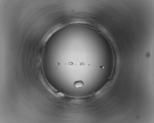 X0000113121377200908281428