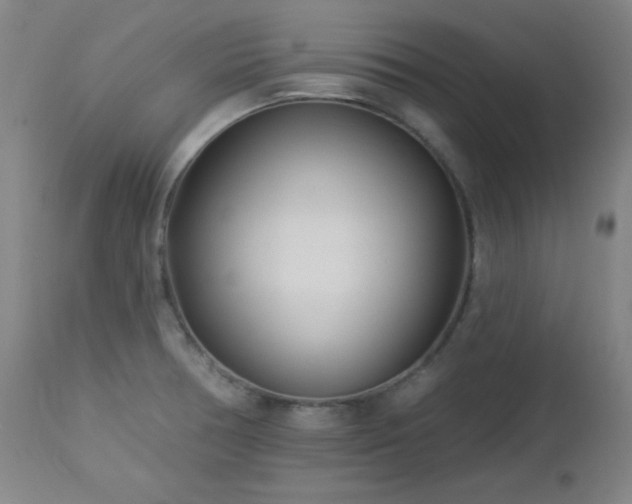 X0000113121378200908281428