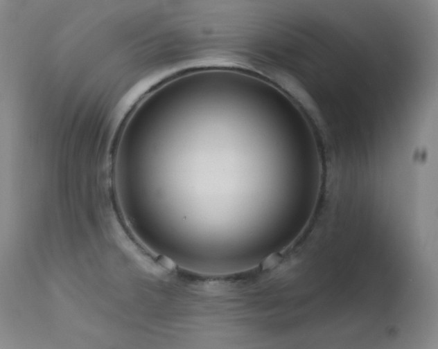 X0000113121380200908281428