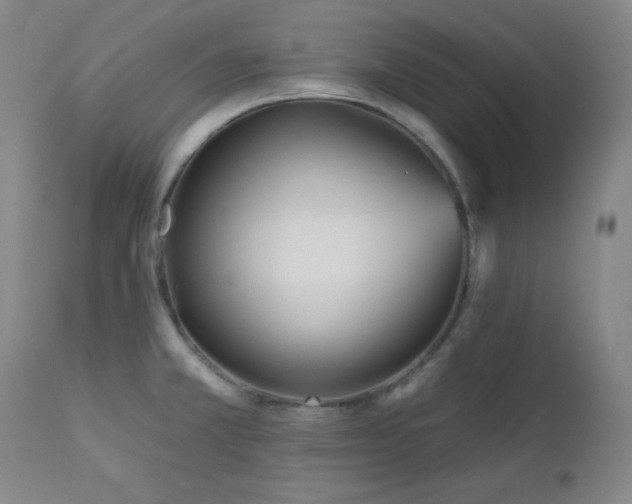 X0000113121381200908281428