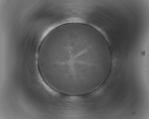 X0000113121383200908281428