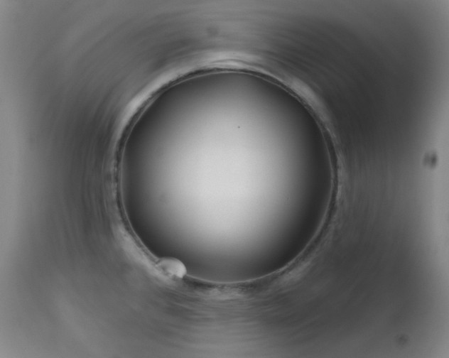 X0000113121384200908281428