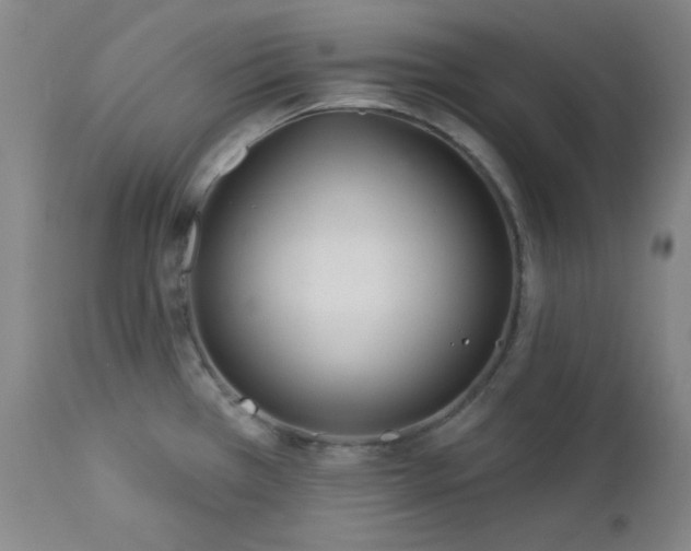 X0000113121385200908281428