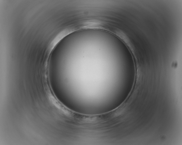 X0000113121386200908281428