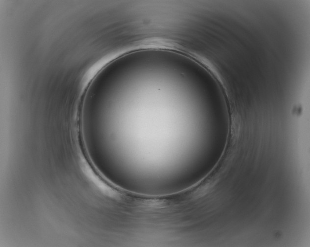 X0000113121387200908281428