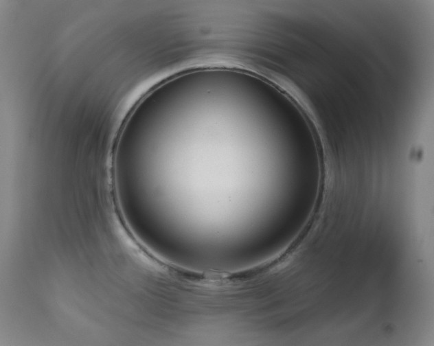 X0000113121388200908281428