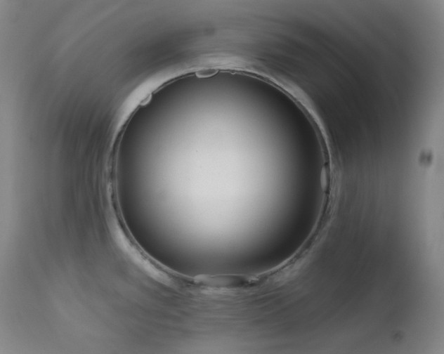 X0000113121389200908281428