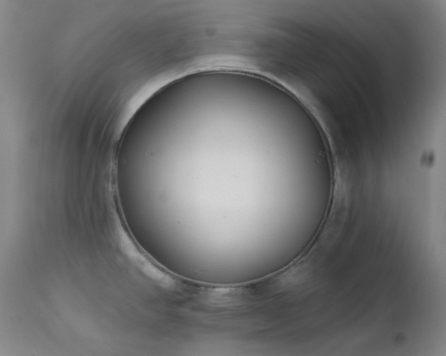 X0000113121390200908281428