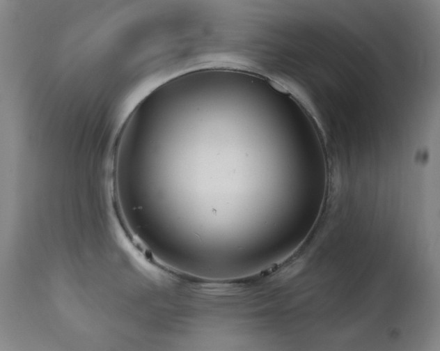 X0000113121391200908281428