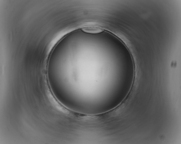 X0000113121392200908281428