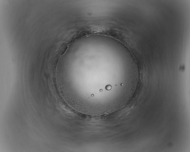 X0000113121393200908281427