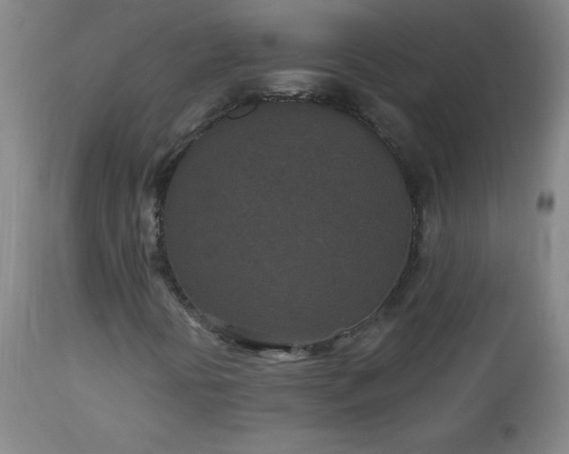 X0000113121394200908281427