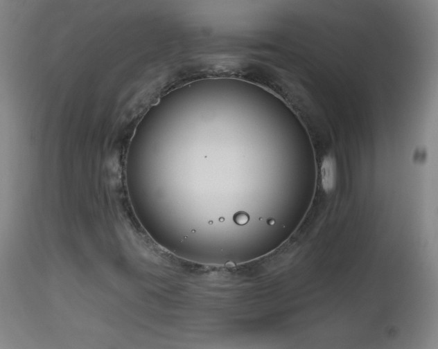 X0000113121395200908281427