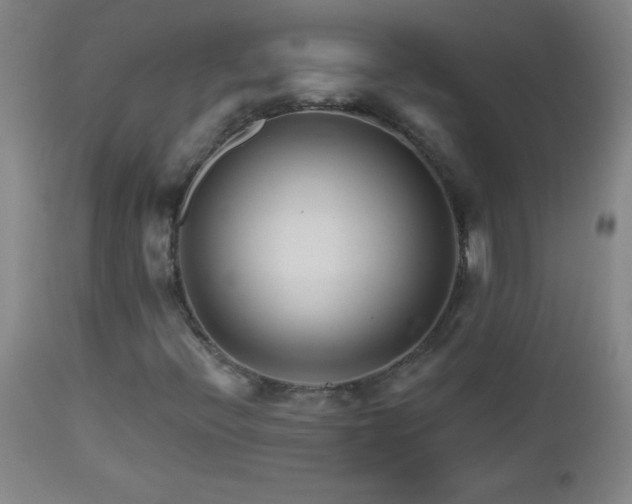 X0000113121396200908281427