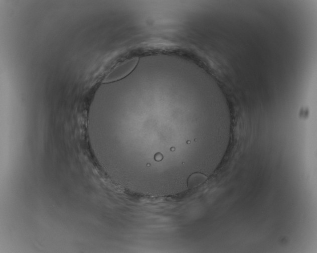 X0000113121397200908281427