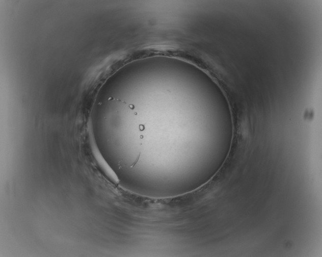 X0000113121398200908281427