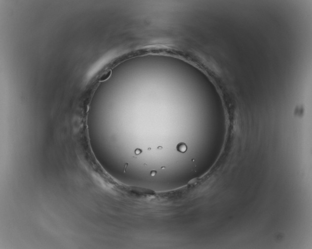 X0000113121400200908281427