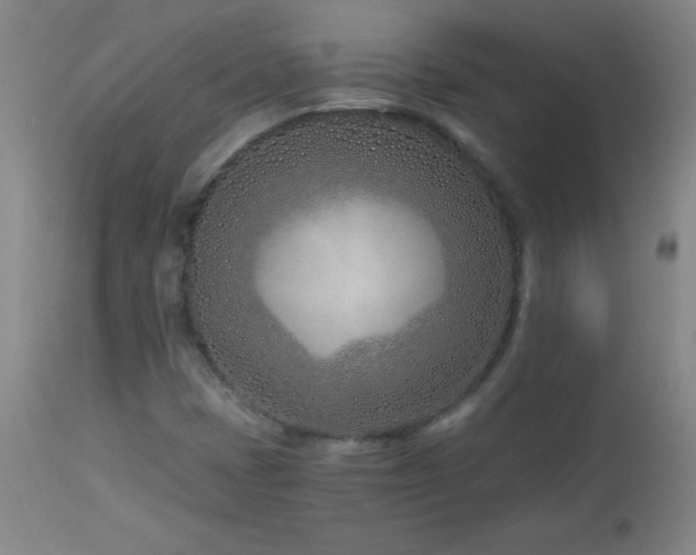 X0000113121401200908281427