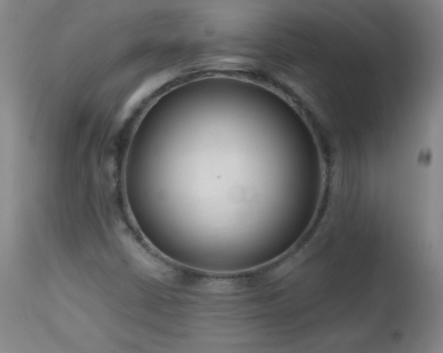 X0000113121402200908281427