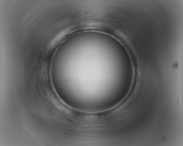 X0000113121403200908281427