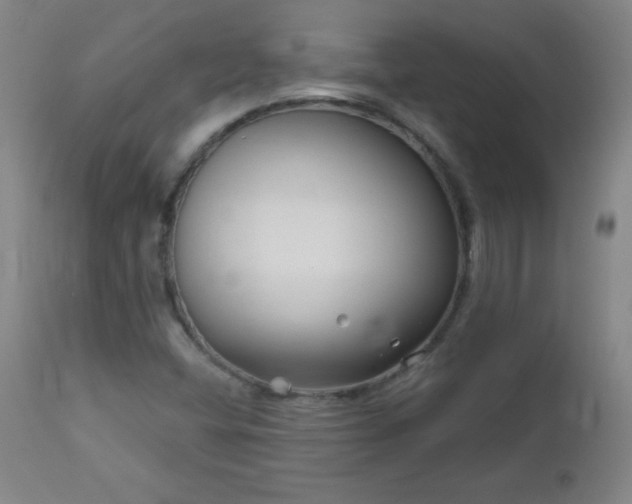 X0000113121404200908281427