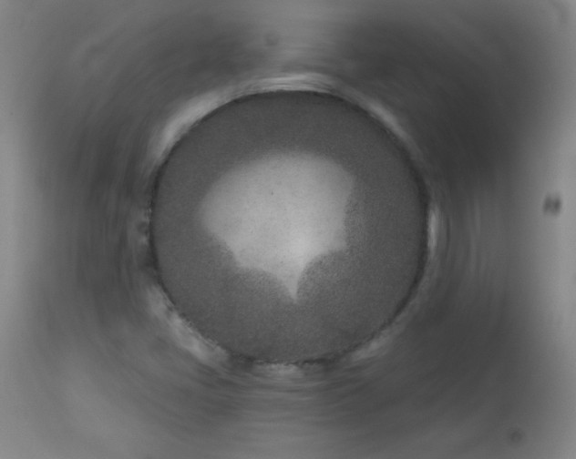 X0000113121405200908281427