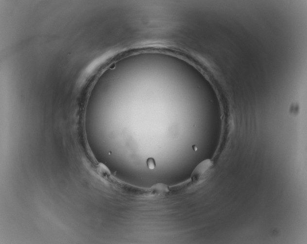 X0000113121406200908281427