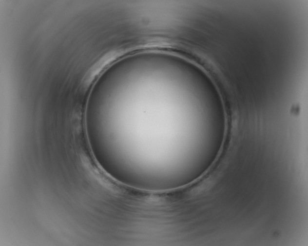 X0000113121409200908281427