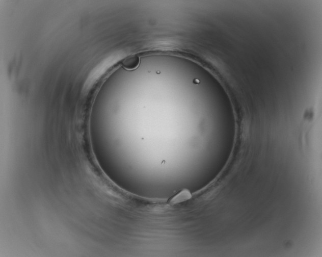 X0000113121410200908281427