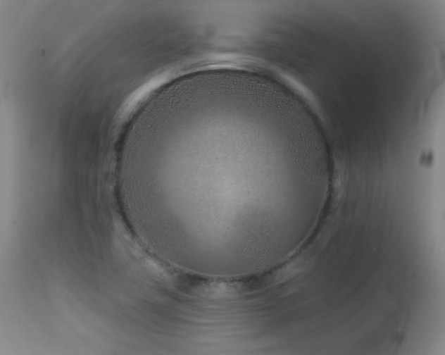 X0000113121411200908281427