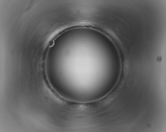 X0000113121412200908281427