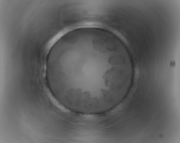 X0000113121413200908281427