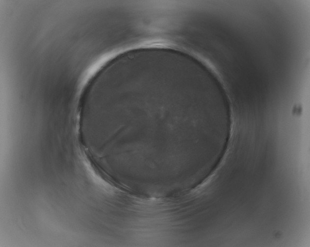 X0000113121414200908281427