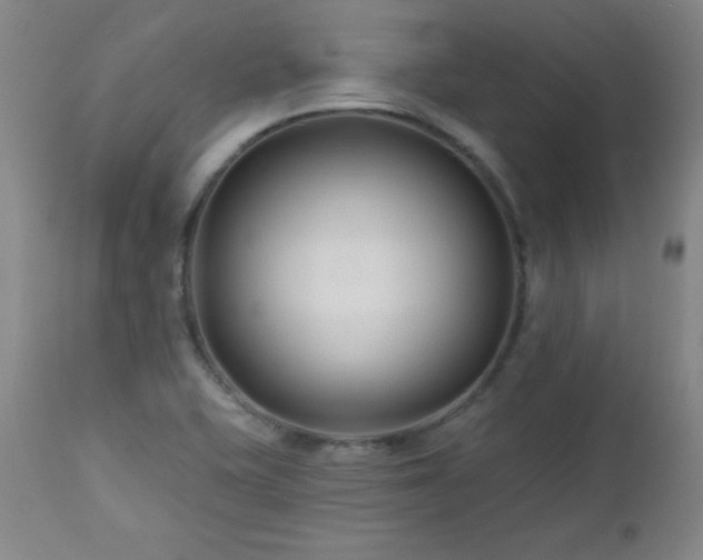 X0000113121415200908281427