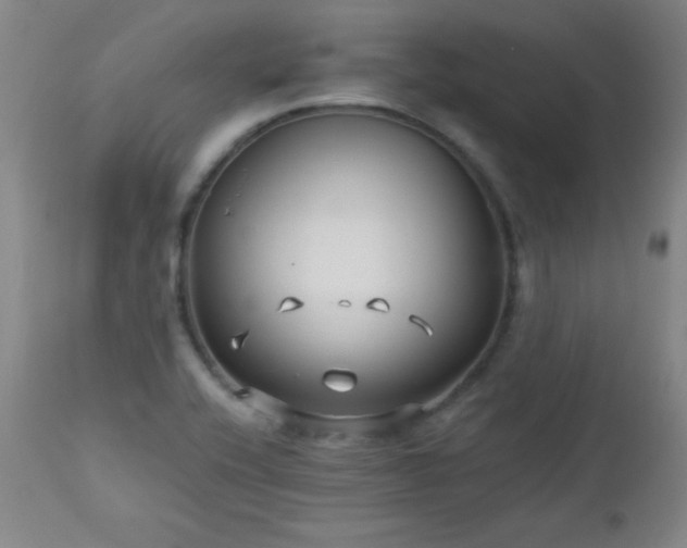 X0000113121416200908281427