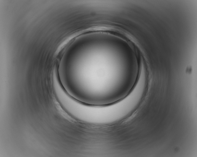 X0000113121417200908281427