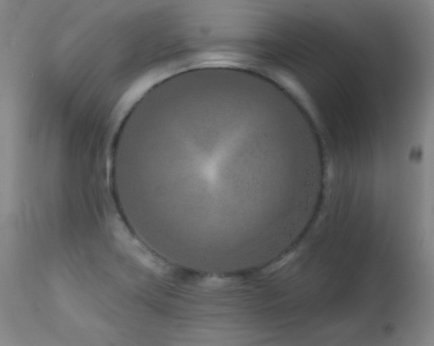 X0000113121419200908281427