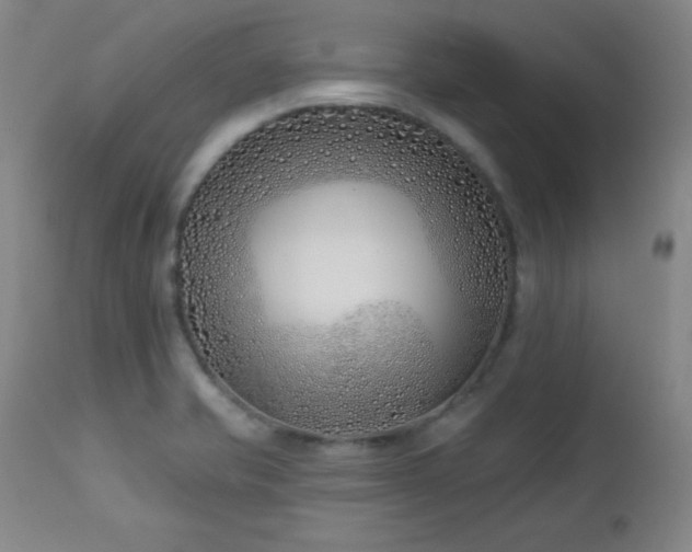 X0000113121421200908281427