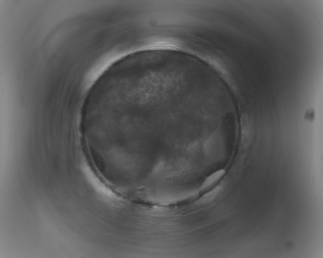 X0000113121422200908281427