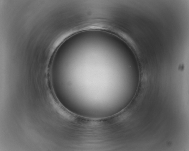 X0000113121423200908281427