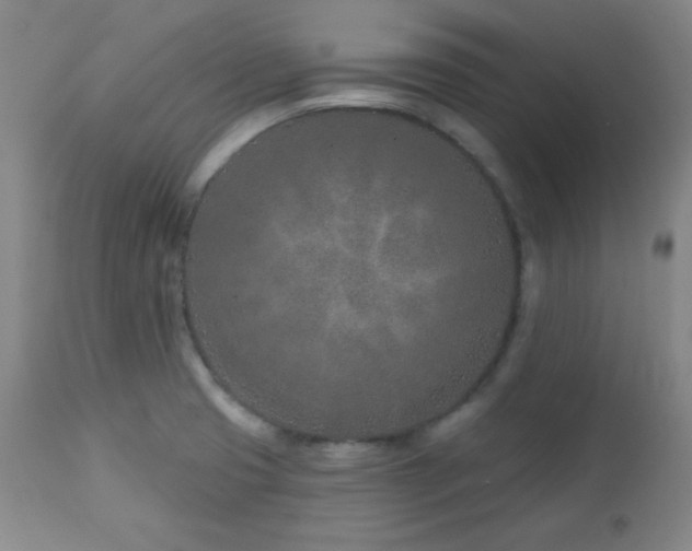 X0000113121425200908281427