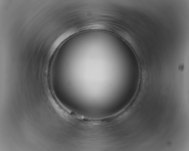 X0000113121426200908281427