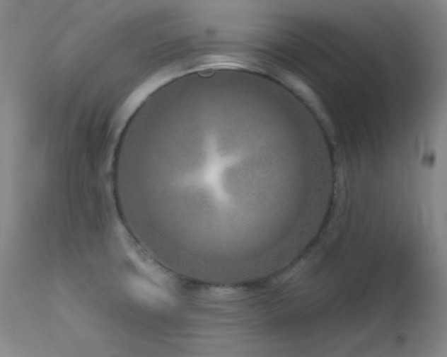 X0000113121427200908281427