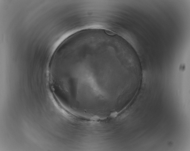 X0000113121428200908281427