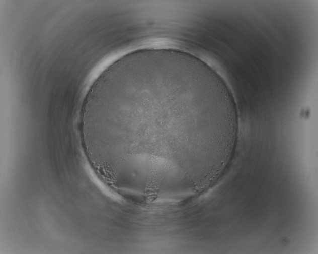 X0000113121429200908281427