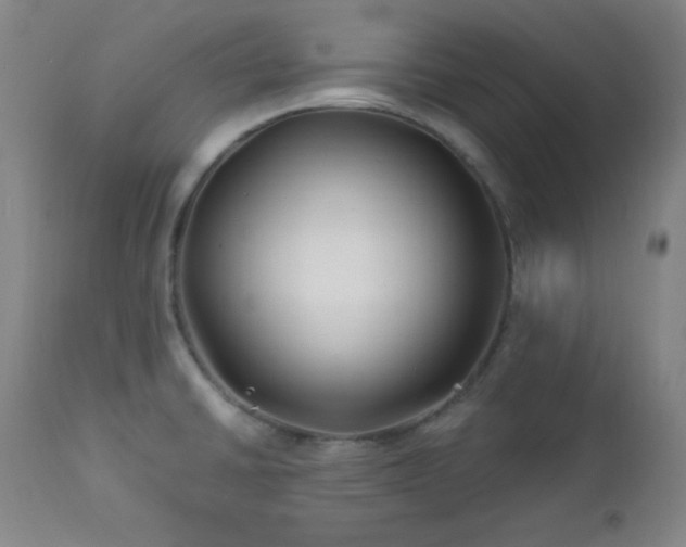 X0000113121430200908281427