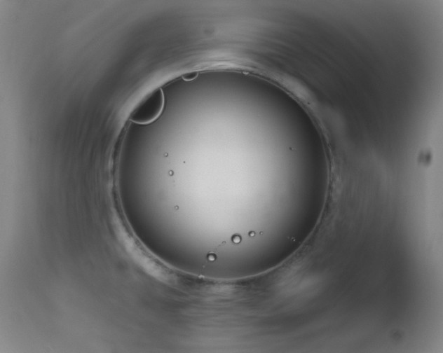 X0000113121431200908281427